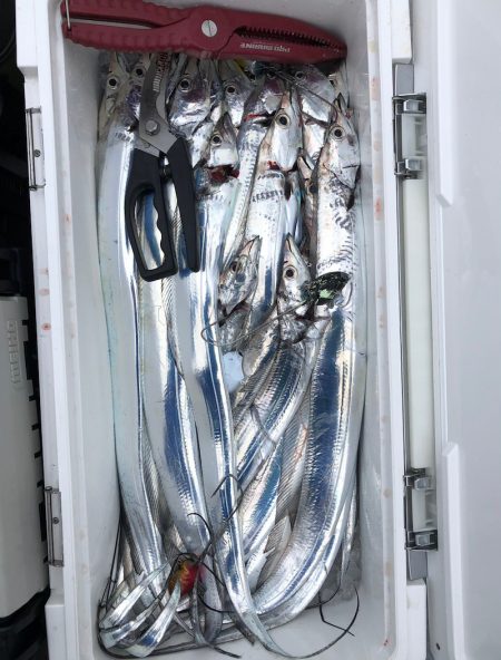 フィッシング　キッタカ 釣果