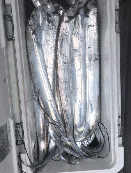 フィッシング　キッタカ 釣果