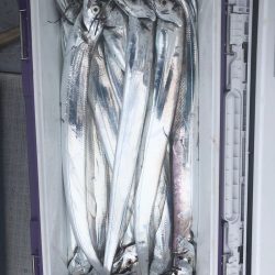 フィッシング　キッタカ 釣果