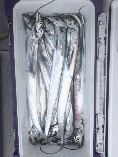 フィッシング　キッタカ 釣果