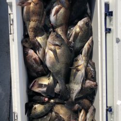 フィッシング　キッタカ 釣果