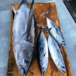 渡船屋たにぐち 釣果