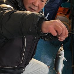 ヤザワ渡船 釣果