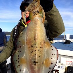 渡船屋たにぐち 釣果