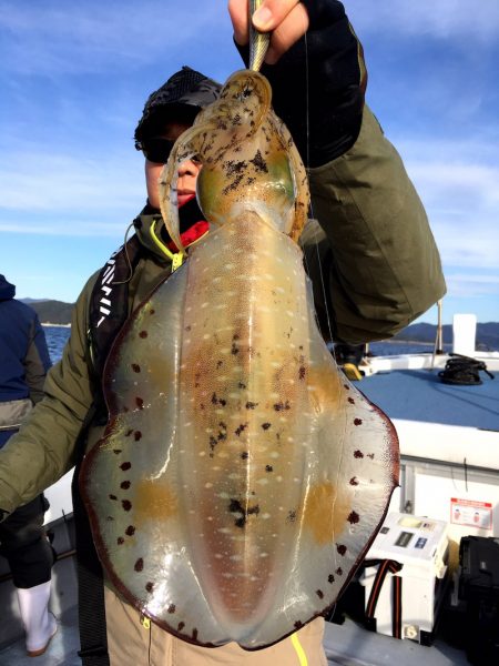 渡船屋たにぐち 釣果