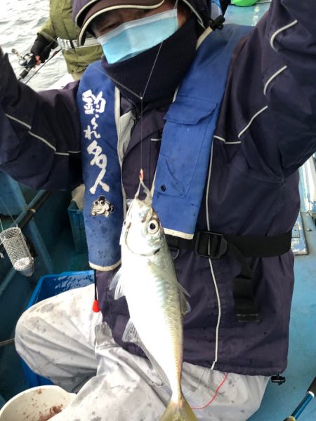 ヤザワ渡船 釣果