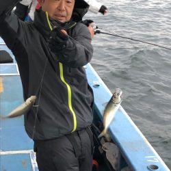 ヤザワ渡船 釣果