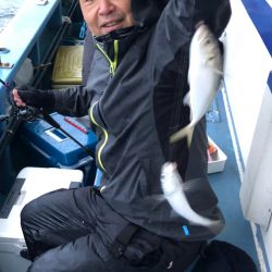 ヤザワ渡船 釣果