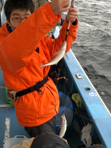 ヤザワ渡船 釣果