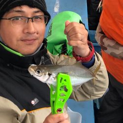 ヤザワ渡船 釣果