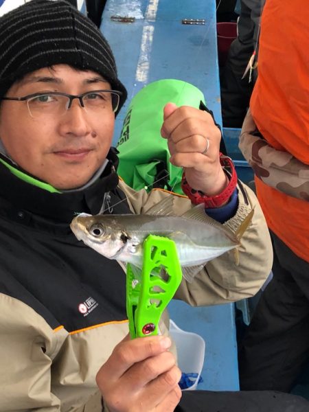 ヤザワ渡船 釣果