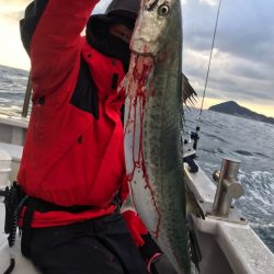 ランスルー 釣果