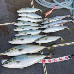 Monster Rush! 釣果