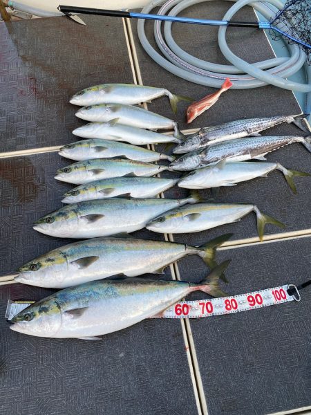 Monster Rush! 釣果