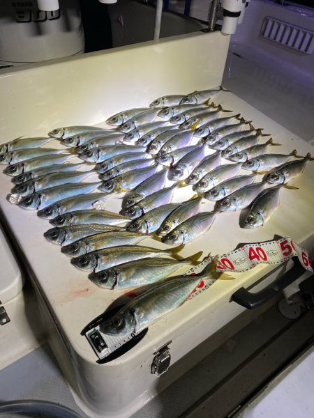 Monster Rush! 釣果