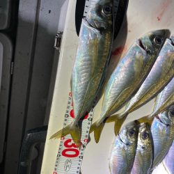 Monster Rush! 釣果