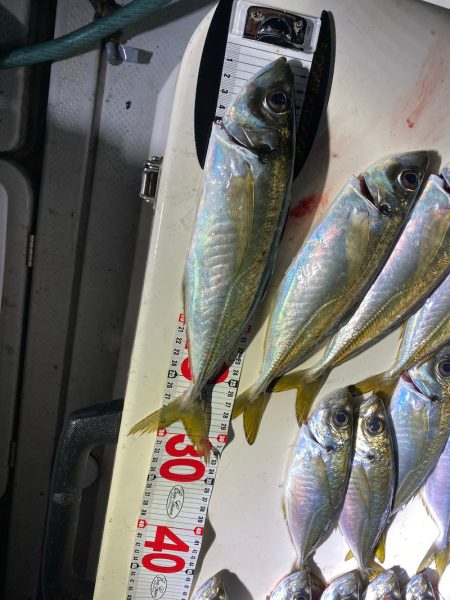 Monster Rush! 釣果