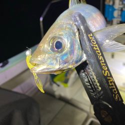 Monster Rush! 釣果