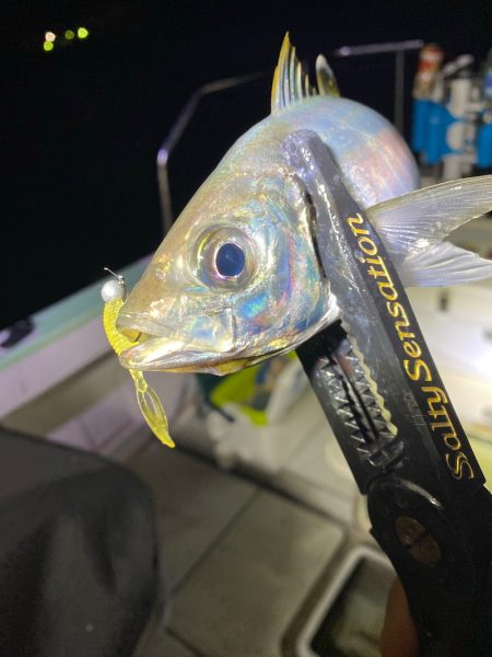 Monster Rush! 釣果