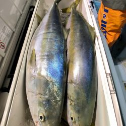 第二八坂丸 釣果