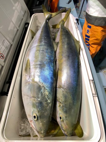 第二八坂丸 釣果