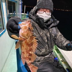 ヤザワ渡船 釣果