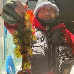 ヤザワ渡船 釣果