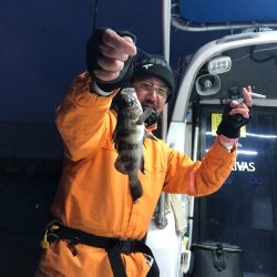 Ｖ−７ West 釣果