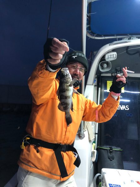 Ｖ−７ West 釣果