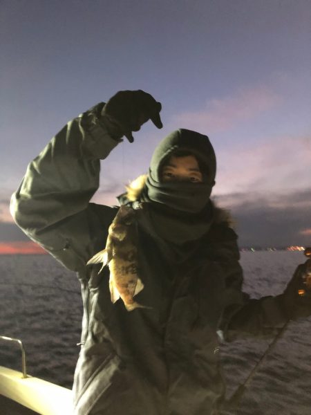 Ｖ−７ West 釣果