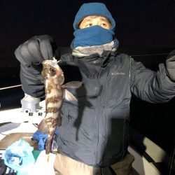 Ｖ−７ West 釣果