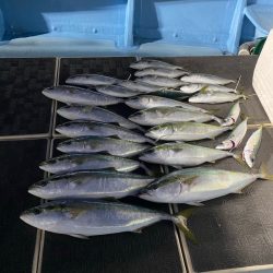 Monster Rush! 釣果