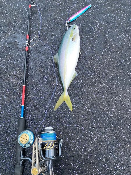 あみや渡船 JIGBOY 釣果