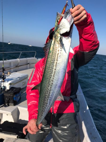 ランスルー 釣果