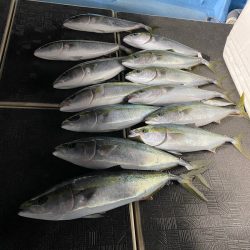 Monster Rush! 釣果