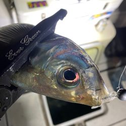 Monster Rush! 釣果