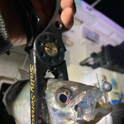 Monster Rush! 釣果