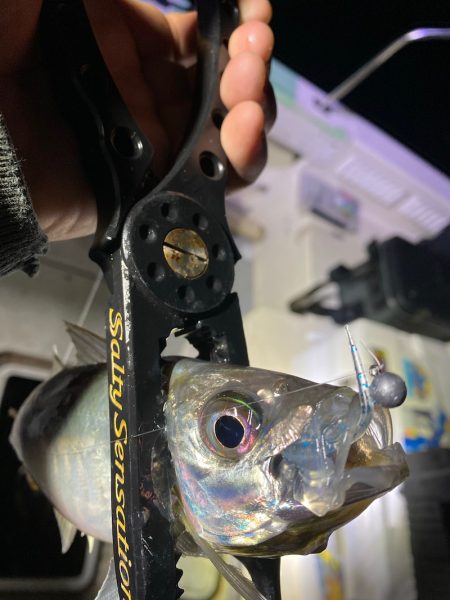 Monster Rush! 釣果