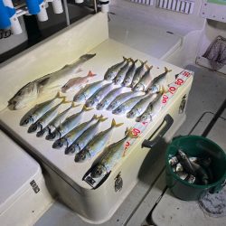 Monster Rush! 釣果