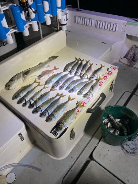 Monster Rush! 釣果