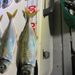 Monster Rush! 釣果