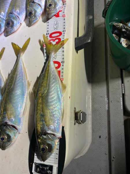 Monster Rush! 釣果