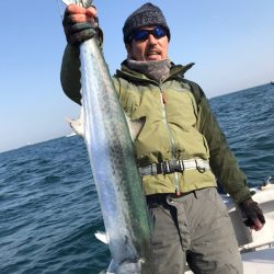 ランスルー 釣果