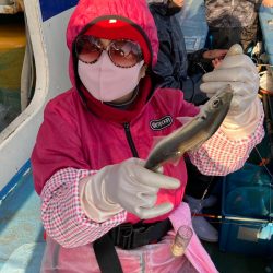 ヤザワ渡船 釣果