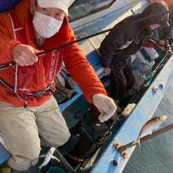 ヤザワ渡船 釣果