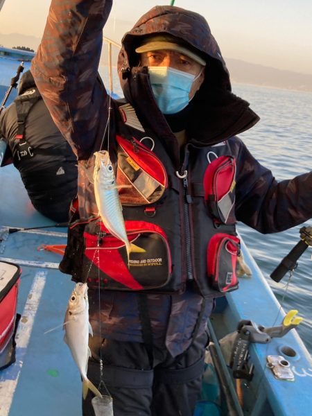 ヤザワ渡船 釣果