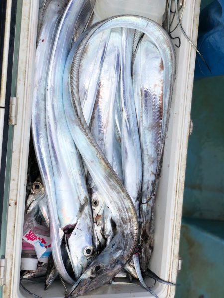 丸万釣船 釣果