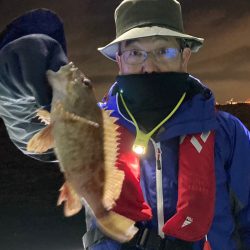 ヤザワ渡船 釣果