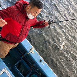 ヤザワ渡船 釣果