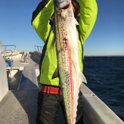 ランスルー 釣果